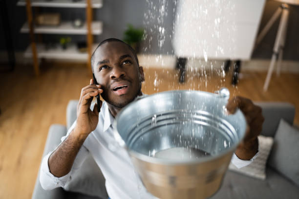 Best Basement water damage restoration  in St Martin, MS