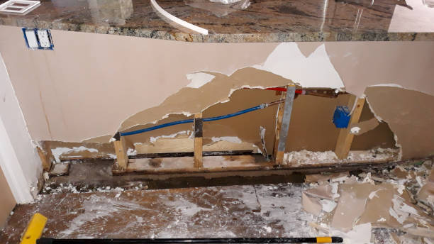 Best Flood damage cleanup  in St Martin, MS