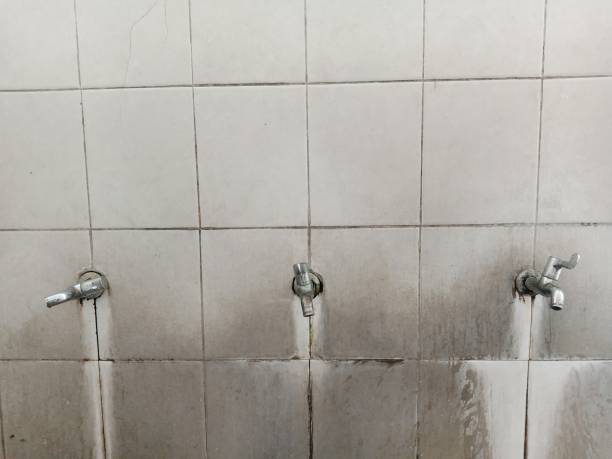 Best Carpet water damage restoration  in St Martin, MS
