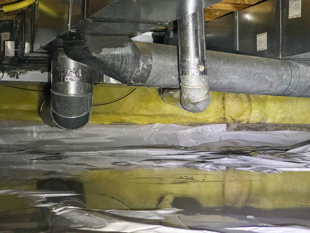 Best Professional water damage repair  in St Martin, MS