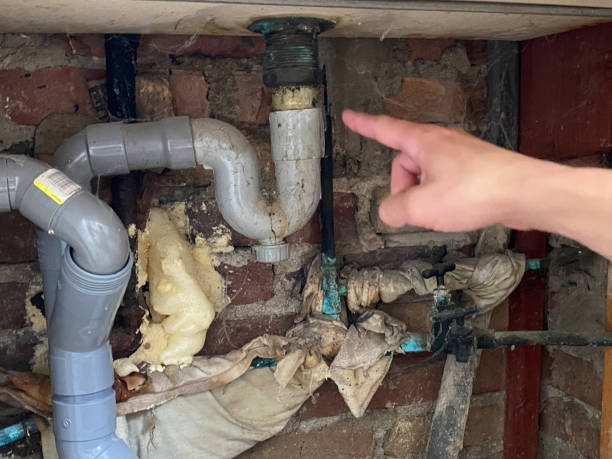 Best Sewage cleanup and water damage restoration  in St Martin, MS
