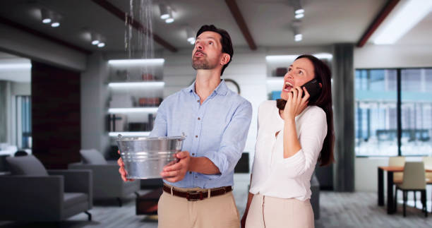 Best Ceiling water damage repair  in St Martin, MS