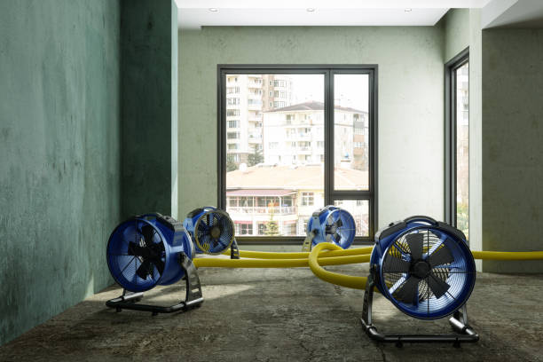 Best Water damage restoration near me  in St Martin, MS